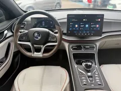 2023 BYD Qin PLUS Champion EV 510km Excellence — фото 9