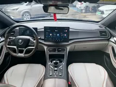 2023 BYD Qin PLUS Champion EV 510km Excellence — фото 10
