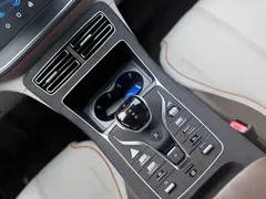 2023 BYD Qin PLUS Champion EV 510km Excellence — фото 11