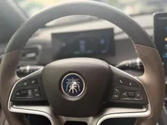 2023 BYD Qin PLUS Champion EV 510km Excellence — фото 12