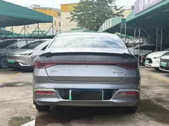 2023 BYD Qin PLUS Champion EV 510km Excellence — фото 19