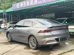 2023 BYD Qin PLUS Champion EV 510km Excellence — фото 21