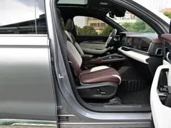 2021 Geely Monjaro 2.0TD High Power AT 4WD Flagship — фото 13