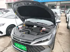 2024 BYD Qin L PHEV 80km Exceed — фото 20