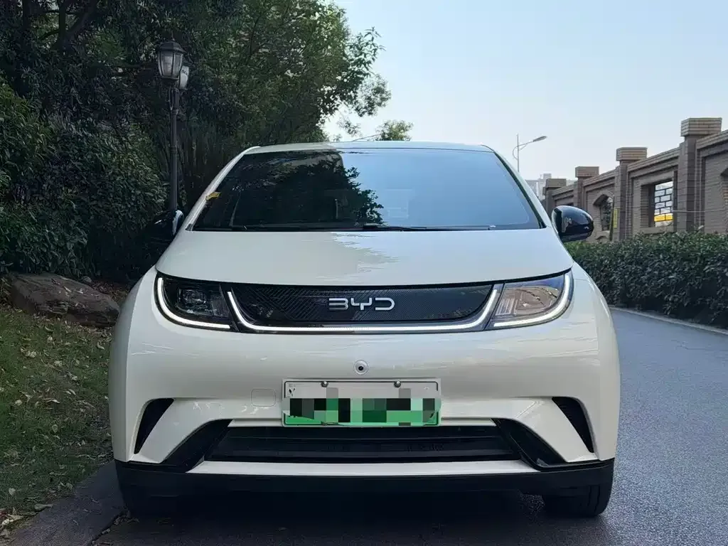 2025 BYD Dolphin 420km Freedom
