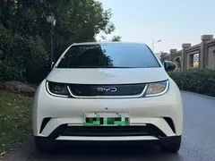 2025 BYD Dolphin 420km Freedom, белый — фото 1