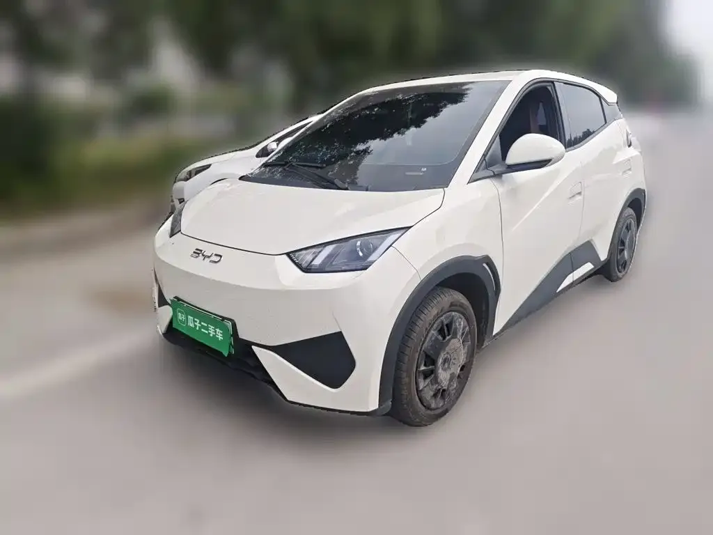 2025 BYD Seagull EV 305km