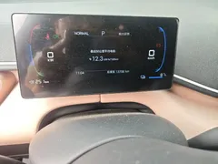 2025 BYD Seagull EV 305km, белый — фото 8