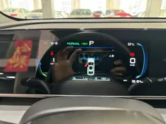 2024 BYD Qin L PHEV 80km Leading — фото 11