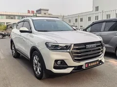 2021 Haval H6 1.5GDIT AT Guochao Champion, белый — фото 3