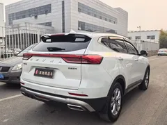 2021 Haval H6 1.5GDIT AT Guochao Champion, белый — фото 4