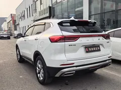 2021 Haval H6 1.5GDIT AT Guochao Champion, белый — фото 6