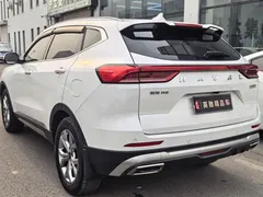 2021 Haval H6 1.5GDIT AT Guochao Champion, белый — фото 7