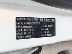 2021 Haval H6 1.5GDIT AT Guochao Champion, белый — фото 16