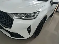 2021 Haval H6 3rd Gen 2.0T AT 2WD Max, белый — фото 24
