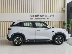 2025 BYD Yuan UP Smart Driving 401km, белый — фото 4