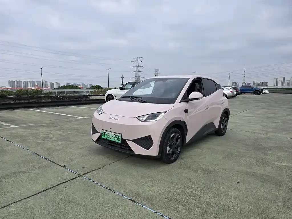 2025 BYD Seagull 405km Flying Smart Driving