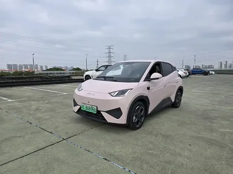 2025 BYD Seagull 405km Flying Smart Driving