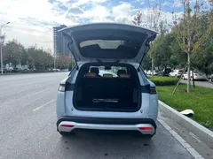 2024 BYD Song L PHEV 112km Leading, синий — фото 19
