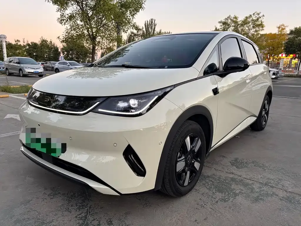 2025 BYD Dolphin Smart Driving 410km Fashion