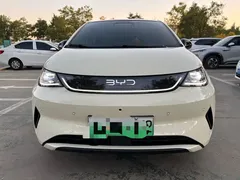 2025 BYD Dolphin Smart Driving 410km Fashion, белый — фото 9