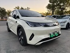 2025 BYD Dolphin Smart Driving 410km Fashion, белый — фото 10