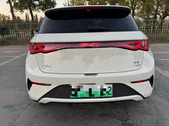 2025 BYD Dolphin Smart Driving 410km Fashion, белый — фото 11
