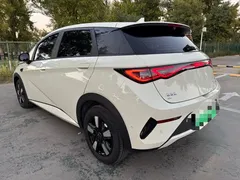 2025 BYD Dolphin Smart Driving 410km Fashion, белый — фото 12