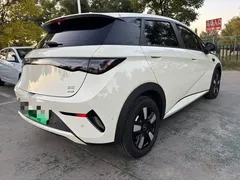 2025 BYD Dolphin Smart Driving 410km Fashion, белый — фото 13