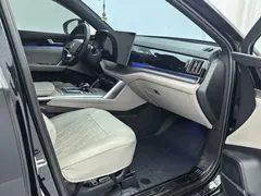 2024 BYD Tang DM-i PHEV 112KM Honor Edition Premium, чёрный — фото 17