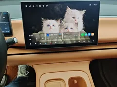 2024 Leapmotor C16 EREV 200 Premium — фото 13