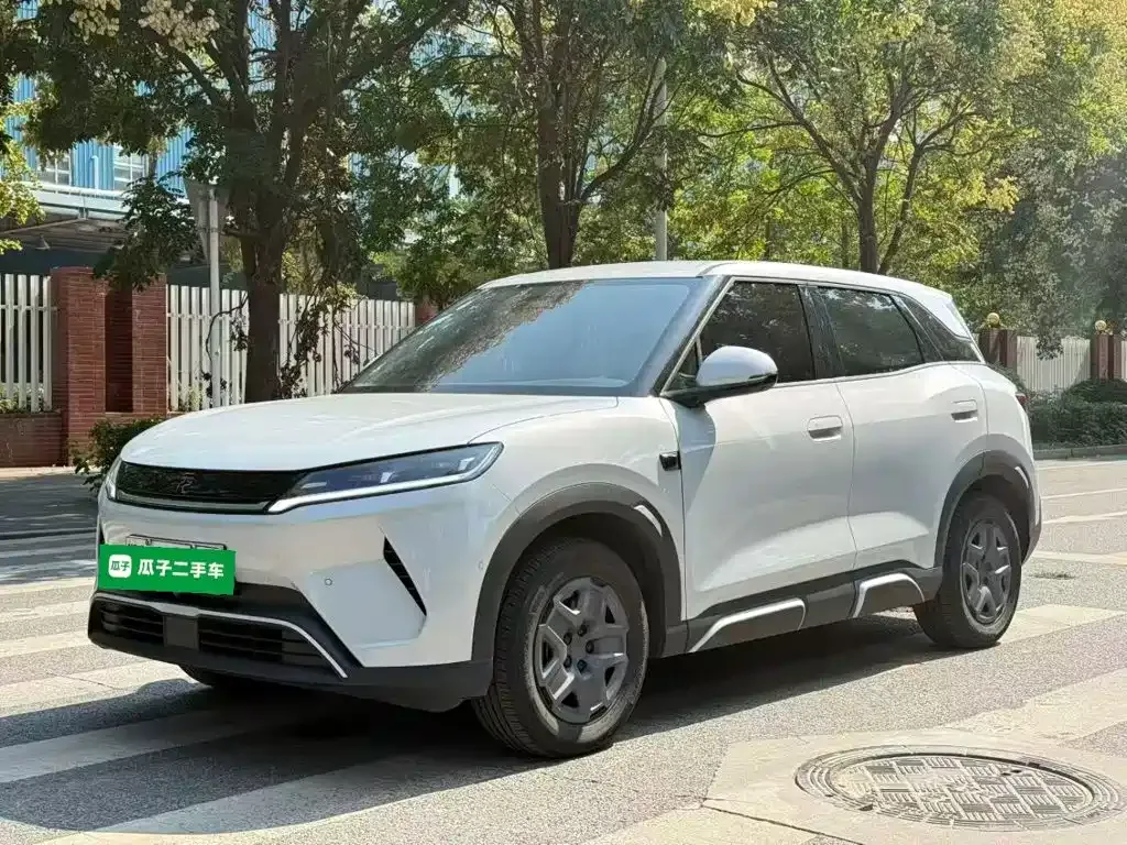 2025 BYD Yuan UP Smart Driving 401km Vitality