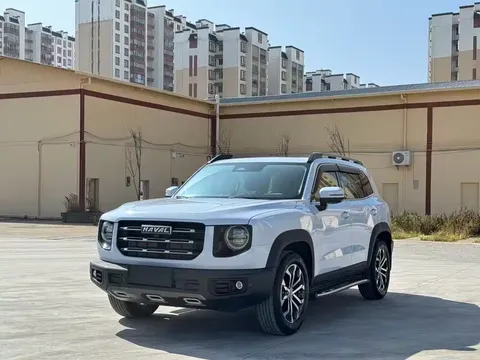 2021 Haval Dargo 1.5T DCT 2WD Border Collie