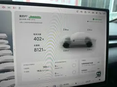 2025 Xpeng P7 750 4WD High Performance Ultra — фото 7