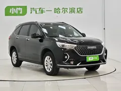 2023 Haval M6 Plus 1.5T DCT Luxury, чёрный — фото 3