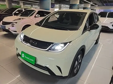 2025 BYD Dolphin 420km Freedom
