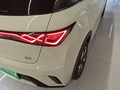 2025 BYD Dolphin 420km Freedom, белый — фото 8