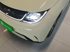 2025 BYD Dolphin 420km Freedom, белый — фото 24