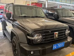 2023 Tank 300 Off-road 2.0T Challenger, чёрный — фото 3