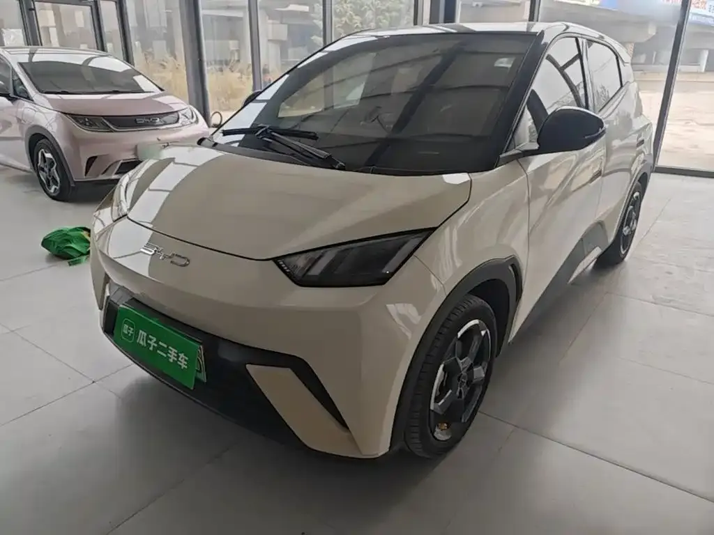 2023 BYD Seagull Flying