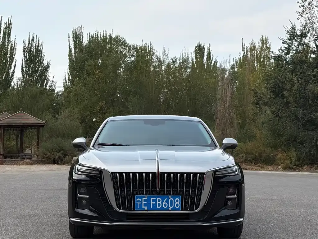 2024 Hongqi H5 1.5T DCT Zhilian Qiyun