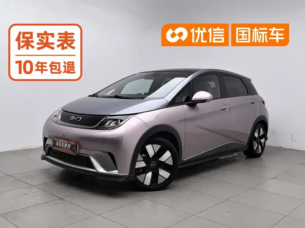 2025 BYD Dolphin EV 520km Knight