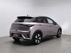2025 BYD Dolphin EV 520km Knight — фото 2