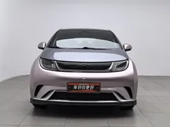 2025 BYD Dolphin EV 520km Knight — фото 3