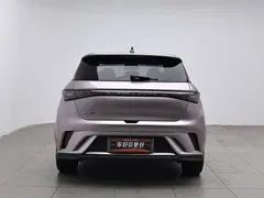2025 BYD Dolphin EV 520km Knight — фото 4