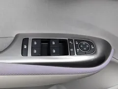 2025 BYD Dolphin EV 520km Knight — фото 9