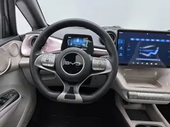 2025 BYD Dolphin EV 520km Knight — фото 11