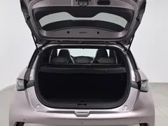 2025 BYD Dolphin EV 520km Knight — фото 16
