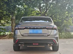 2024 Geely Binrui Cool 1.5T DCT Champion — фото 4