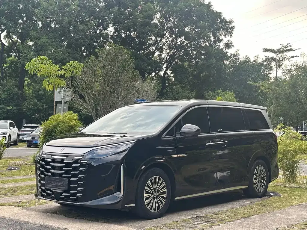 2025 BYD Xia DM-i PHEV 1.5T 180km Excellence